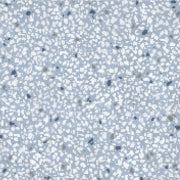 Ceramica Fioranese, Cementine Retrò - CMR20G6 - Azzurro, Naturale, 20x20cm, 10.00mm, Rett.