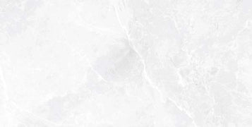 Ecoceramic, Earthstone - PB0250---White,-Brillo,-60x120cm,-10.00mm,-Rett.