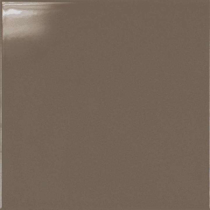 Armonie Ceramiche, Colors - 145094 - Tortora, Naturale, 20x20cm, 7.00mm, Not rectified