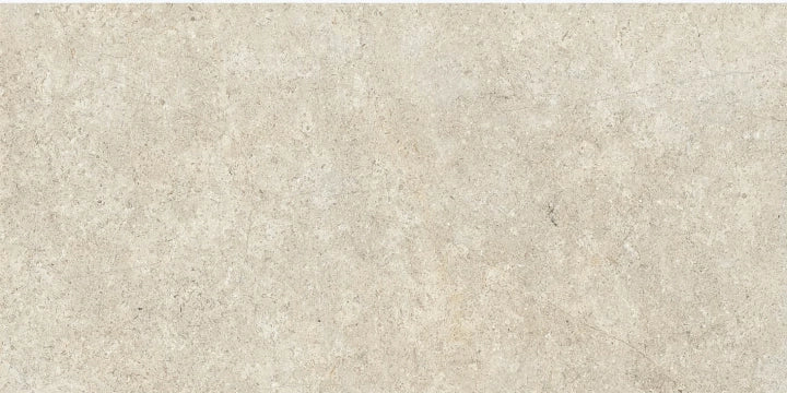 Ceramica Fondovalle, Background - BAG025 - Snowy, Naturale, 60x120cm, 8.50mm, Rett.