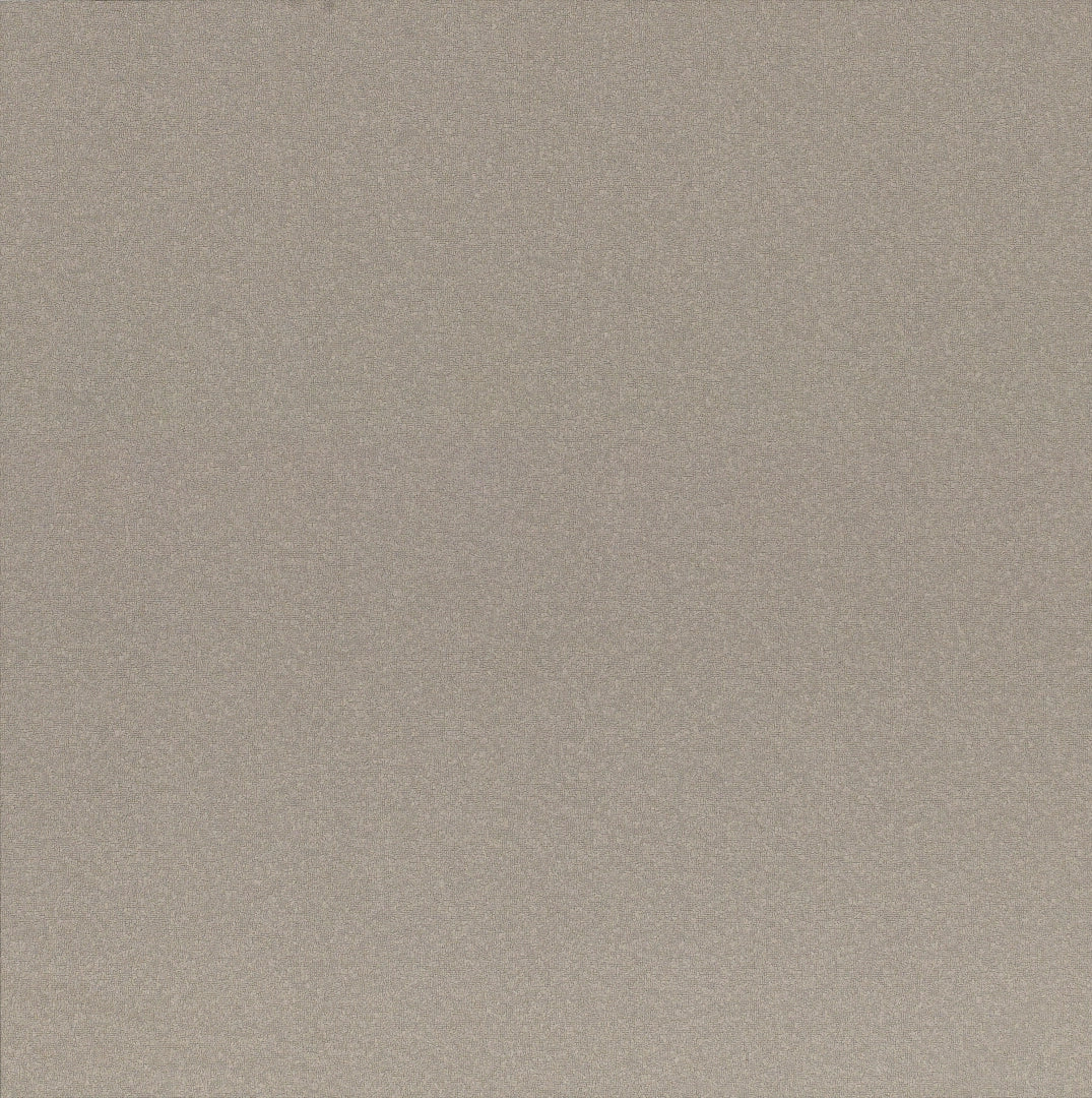 Casalgrande Padana, Earth By Pininfarina - Grigio 2, Naturale, 60x60cm, 10.00mm, Rett.