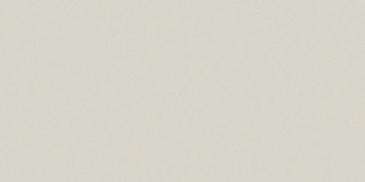Saloni Ceramica, Proyeccion - EWB713 - Ceniza, Matt, 30x60cm, 9.60mm, Rett.