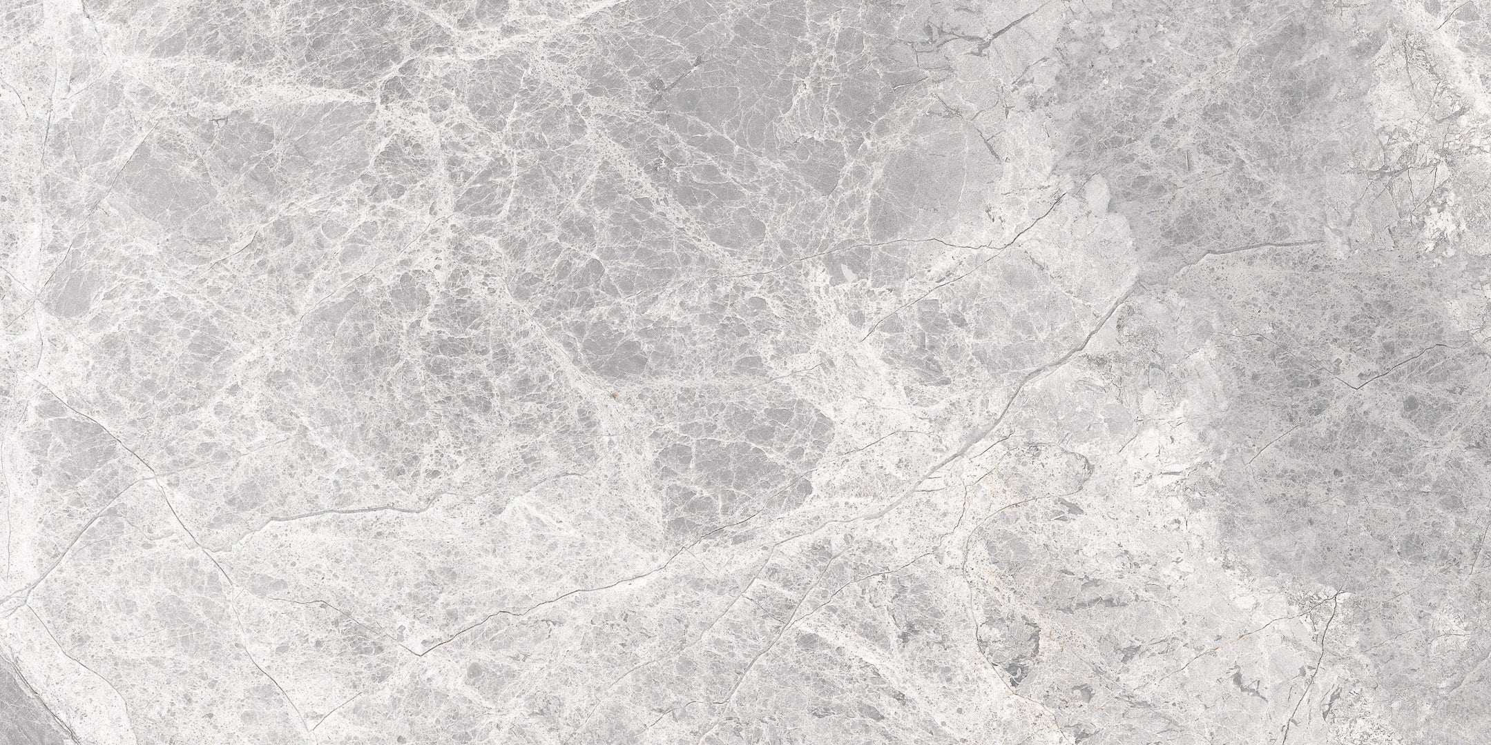 Cerdomus, Supreme - 76977 - Silver, Grip Flamed, 60x120cm, 9.50mm, Rett.