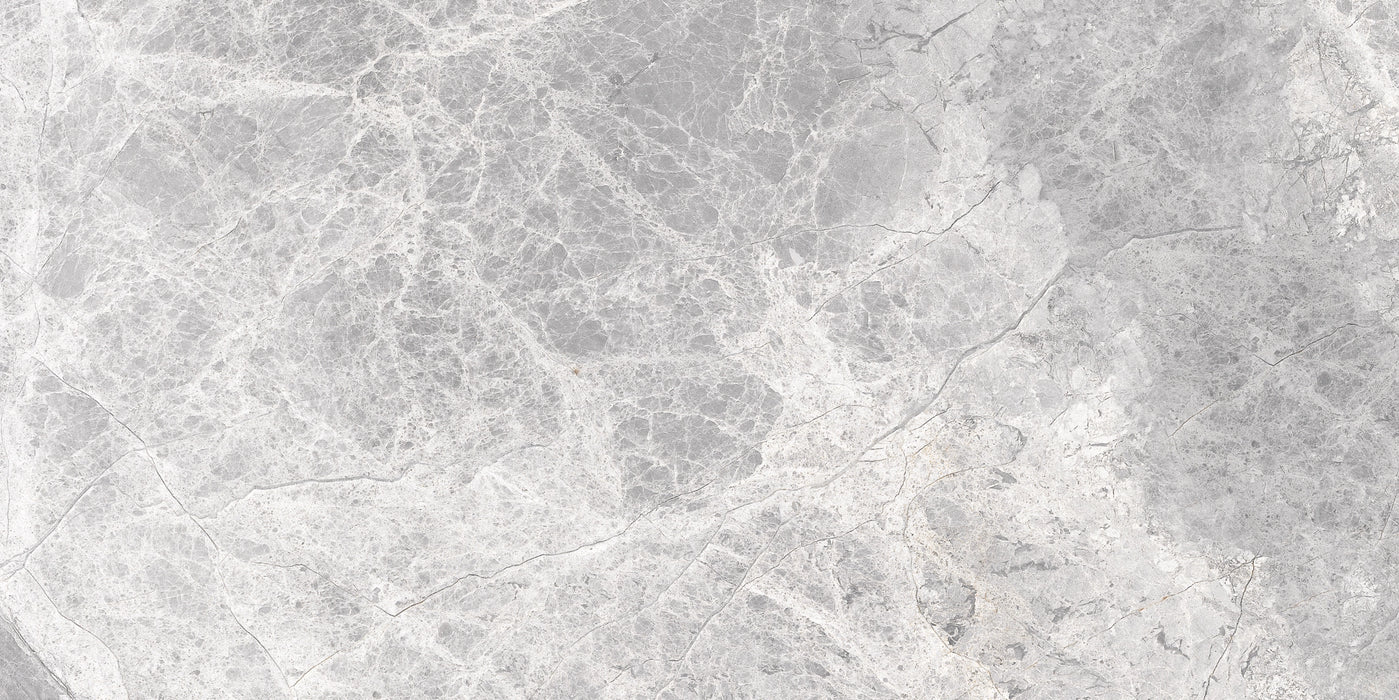 Cerdomus, Supreme - 75419 - Silver, Levigato, 30x60cm, 9.50mm, Rett.