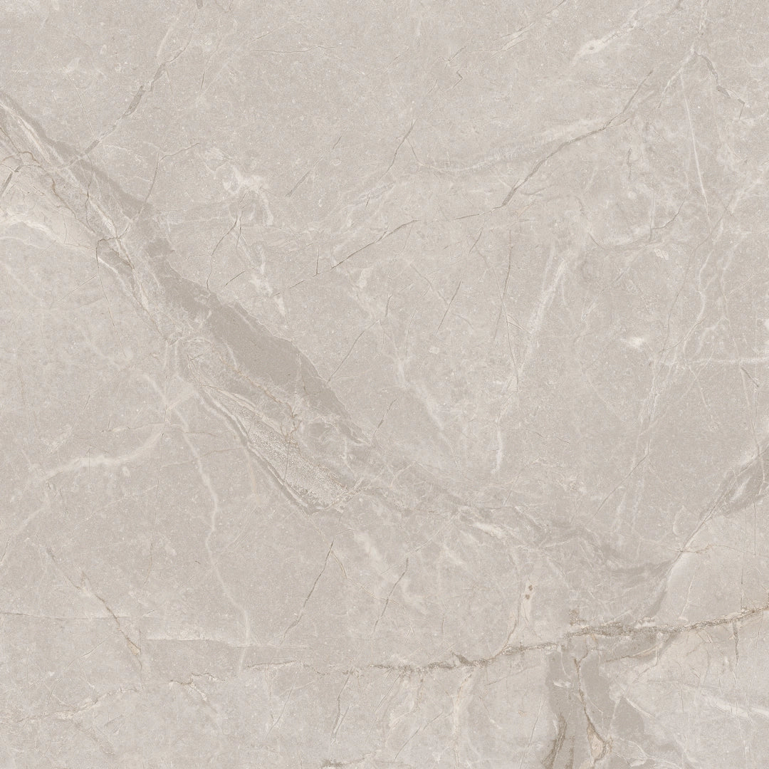 Emotion Ceramics, Sary - Gris, Brillo, 60.5x60.5cm, 8.00mm