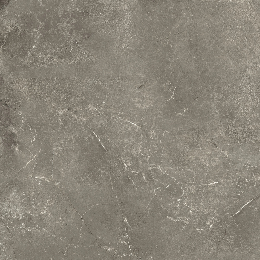 Elios Ceramica, Harmony - R941X60 - Taupe, Naturale, 100x100cm, 10.00mm, Rett.