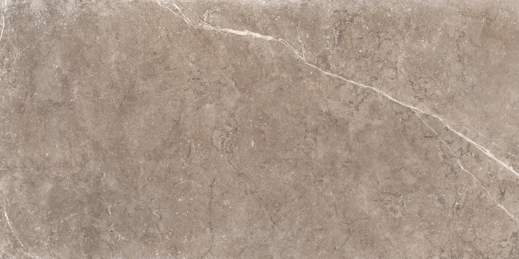Unicom Starker, Evostone - Dune, Naturale, 60x119.5cm, 9.50mm, Rett.