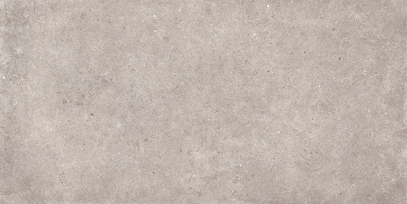 Sichenia, Ar_gent - 184443 - Greige, Matt, 60x120cm, 10.00mm, Rett.