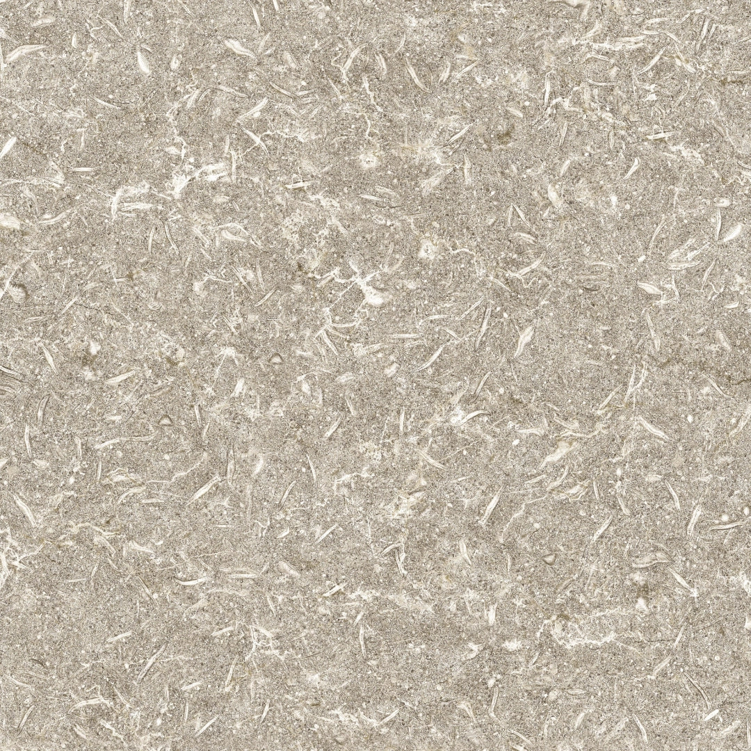 Apavisa, Track - Beige, Naturale, 59.55x59.55cm, 10.00mm, Rett.