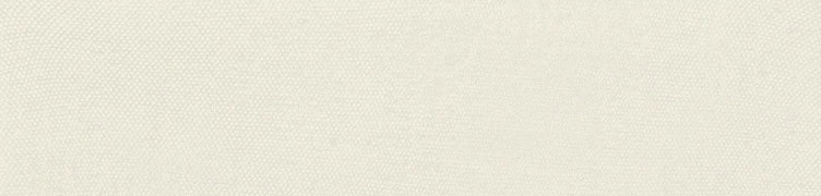 Ceramica Bardelli, Pittorica - Pittorica 4/m, Naturale, 6x25cm, 10.00mm