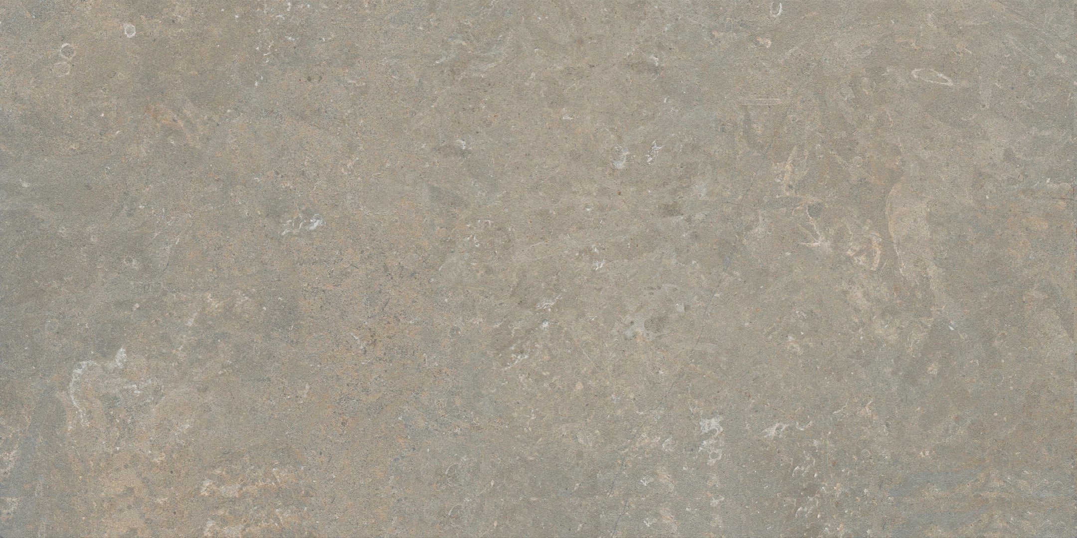 Marca Corona, Arkistyle - J481 - Fossil, Grip, 60x120cm, 9.00mm, Rett.