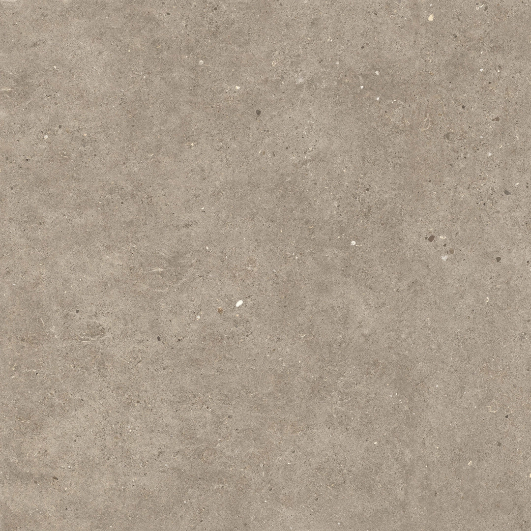 Italgraniti, Silver Grain + Ceppo Di Gré - SI0488 - Silver Grain Taupe, Naturale, 80x80cm, 9.00mm, Rett.