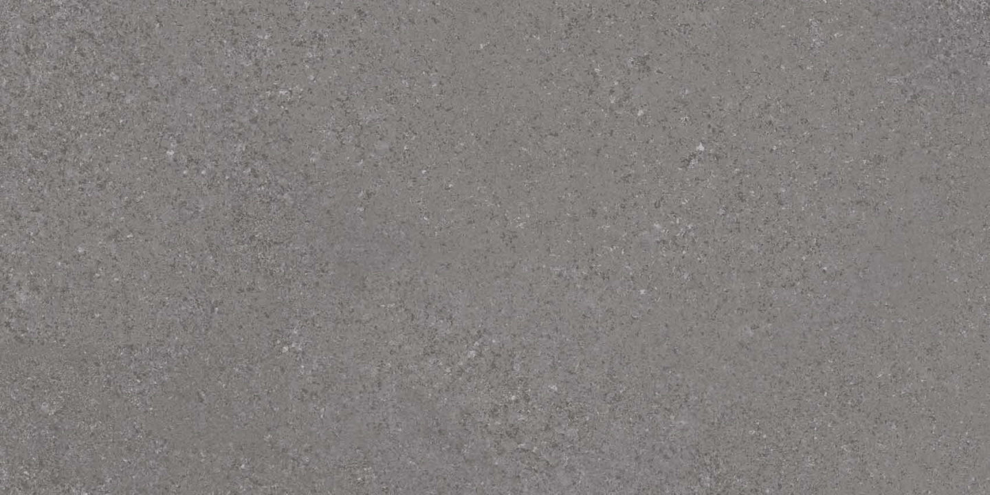 Vives Ceramica, Alpha - Plomo, Mate, 30x60cm, 8.20mm