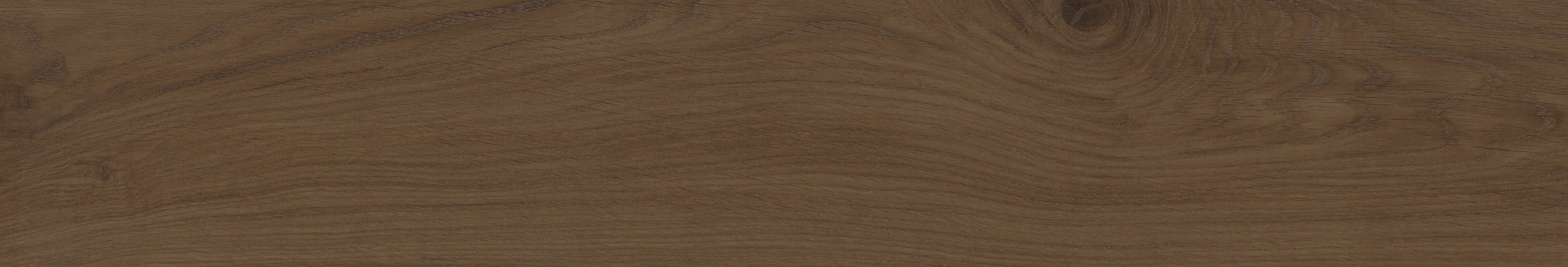 Colorker, Century - 221991 - Brown, Matt, 25x150cm, 11.00mm, Rett.