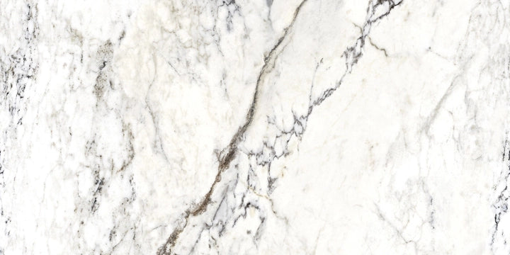 Ceramiche Ricchetti, Dream Pure - Breccia Capraia, Lux, 59.6x119.2cm, 9.00mm, Rett.