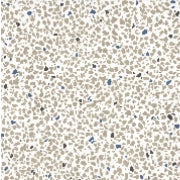 Ceramica Fioranese, Cementine Retrò - CMR20G1 - Bianco 1, Naturale, 20x20cm, 10.00mm, Rett.