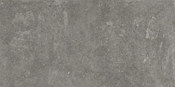 Aparici, Lithops - Grey, Naturale, 49.75x99.55cm, 20.00mm, Rett.