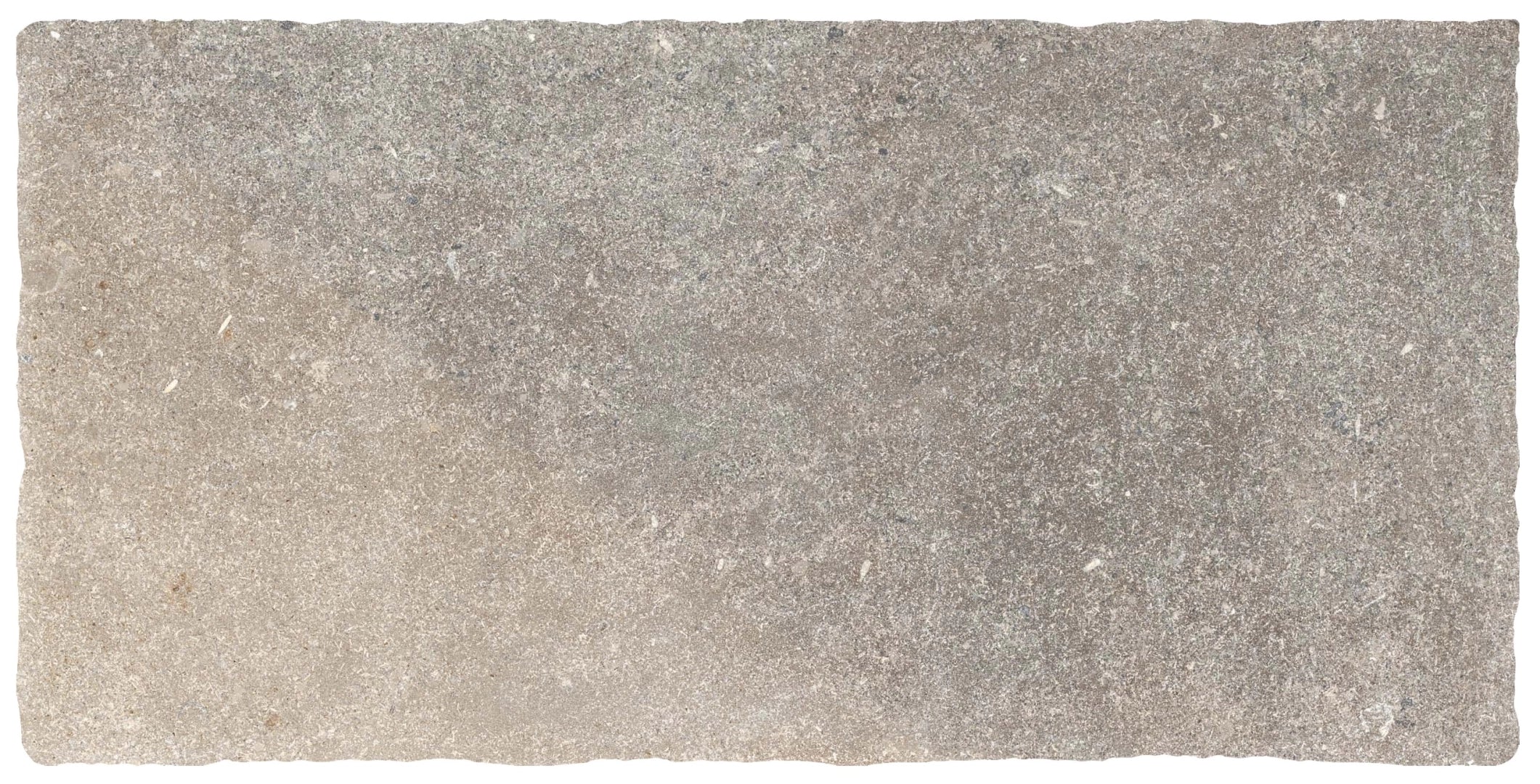 Del Conca, Forum - SOFR05 - Grigio, Nat, 40x80cm, 20.00mm