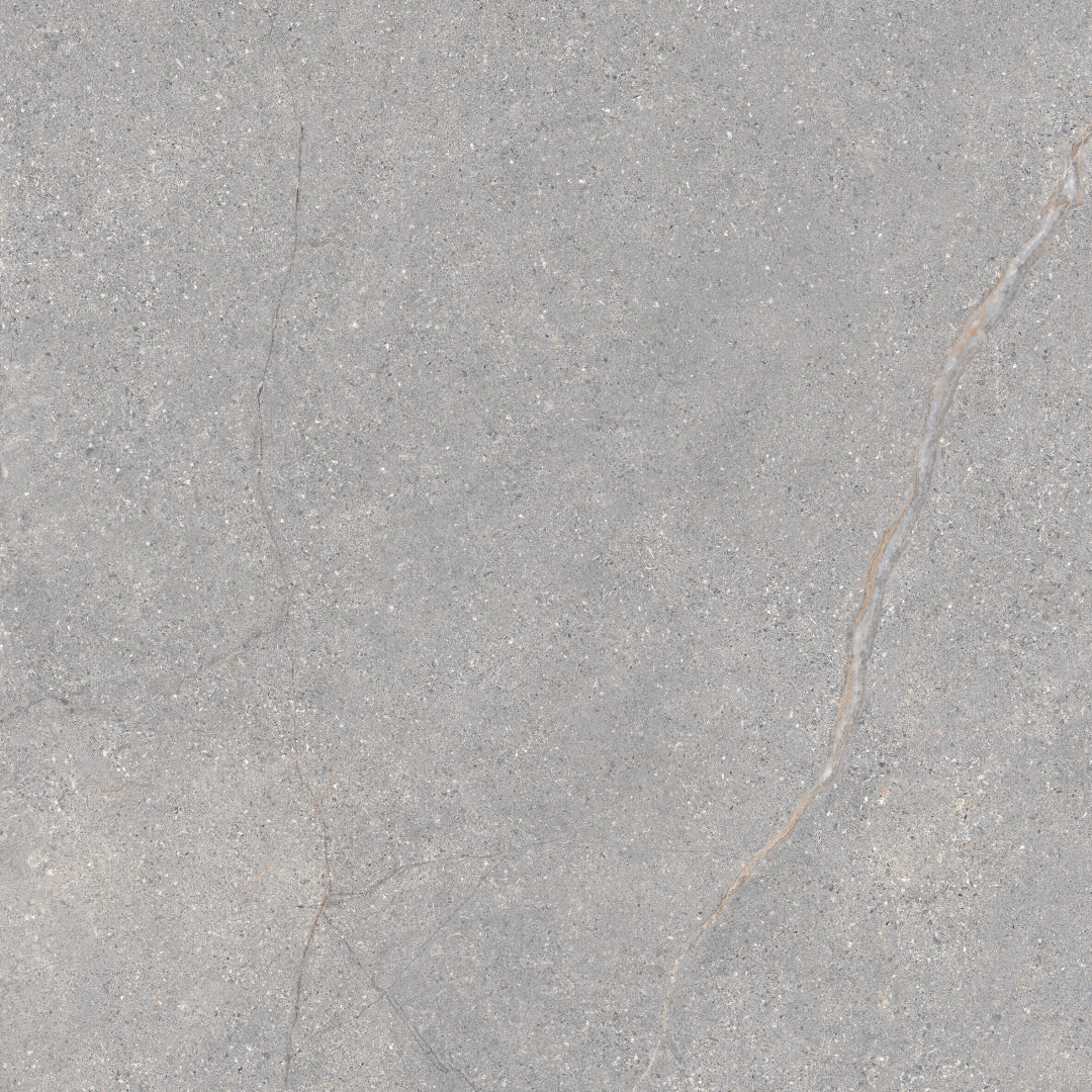 Lea Ceramiche, Anthology - LS8AL40 - Gray, Naturale, 120x120cm, 6.00mm, Rett.