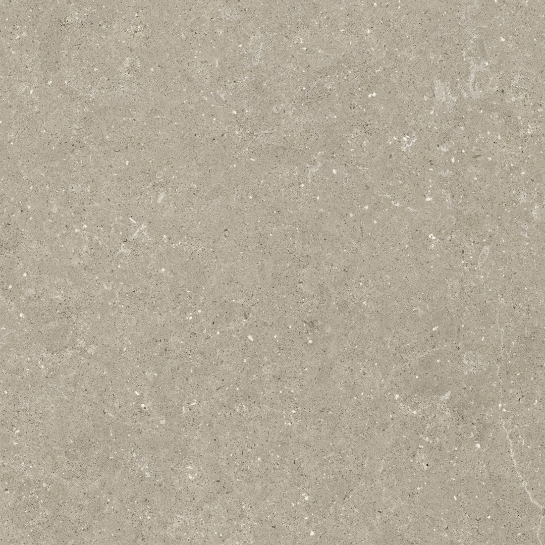 Del Conca, Wild - GTWD11R - Greige, Nat, 80x80cm, 8.50mm, Rett.