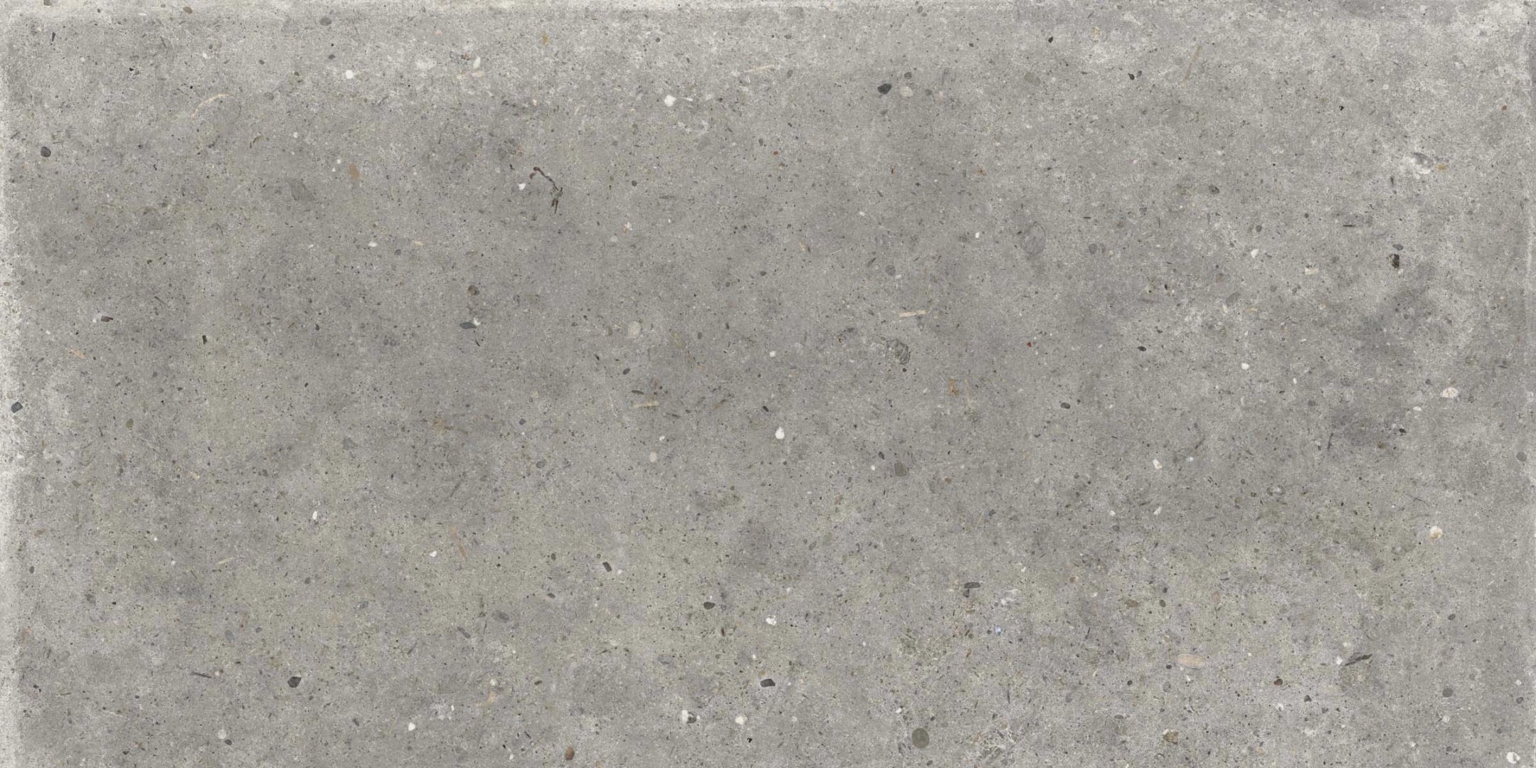 ABK, Poetry Stone - PF60010530 - Pirenei Grey, R11, 60x120cm, 8.50mm, Rett.