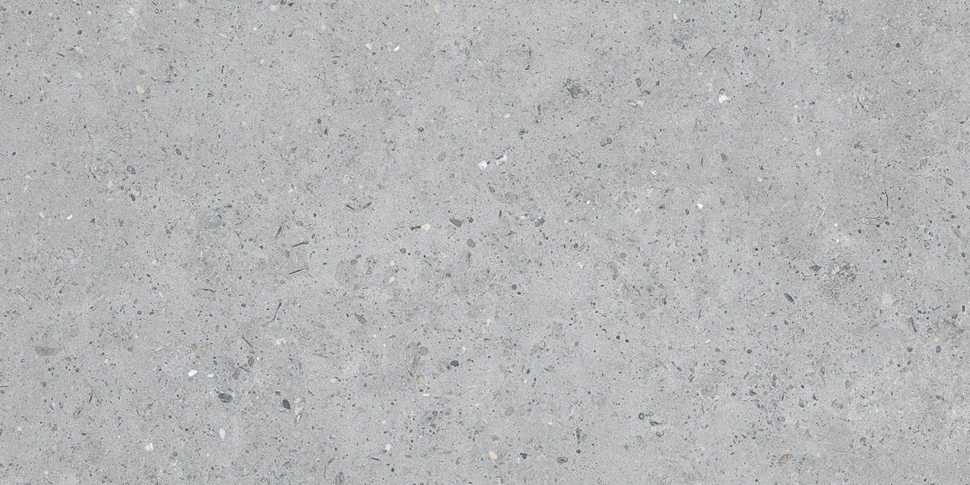 Pastorelli Ceramiche, Biophilic - P009500 - Bi Grey, Naturale, 30x60cm, 8.50mm, Rett.