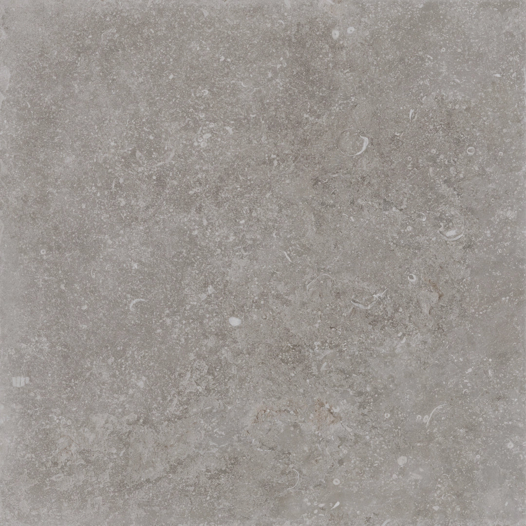 Cerdomus, Nordenn - 77341 - Greige, Satinato, 60x60cm, 9.50mm, Rett.