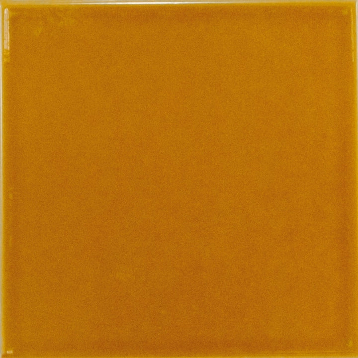 Equipe Ceramicas, Evolution - 22463---Amber,-Lucido,-15x15cm,-9.00mm,-Rett.