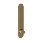 Hotbath Cobber PB066EXT afbouwdeel voor inbouw thermostaat met 2 pushbuttons - Geborsteld Messing PVD